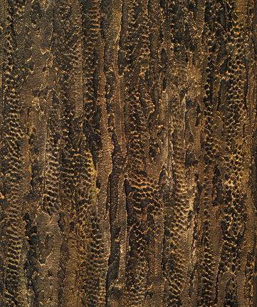 Texture de plâtre décoratif noir et doré