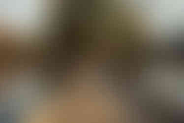 Spring Engagement Session