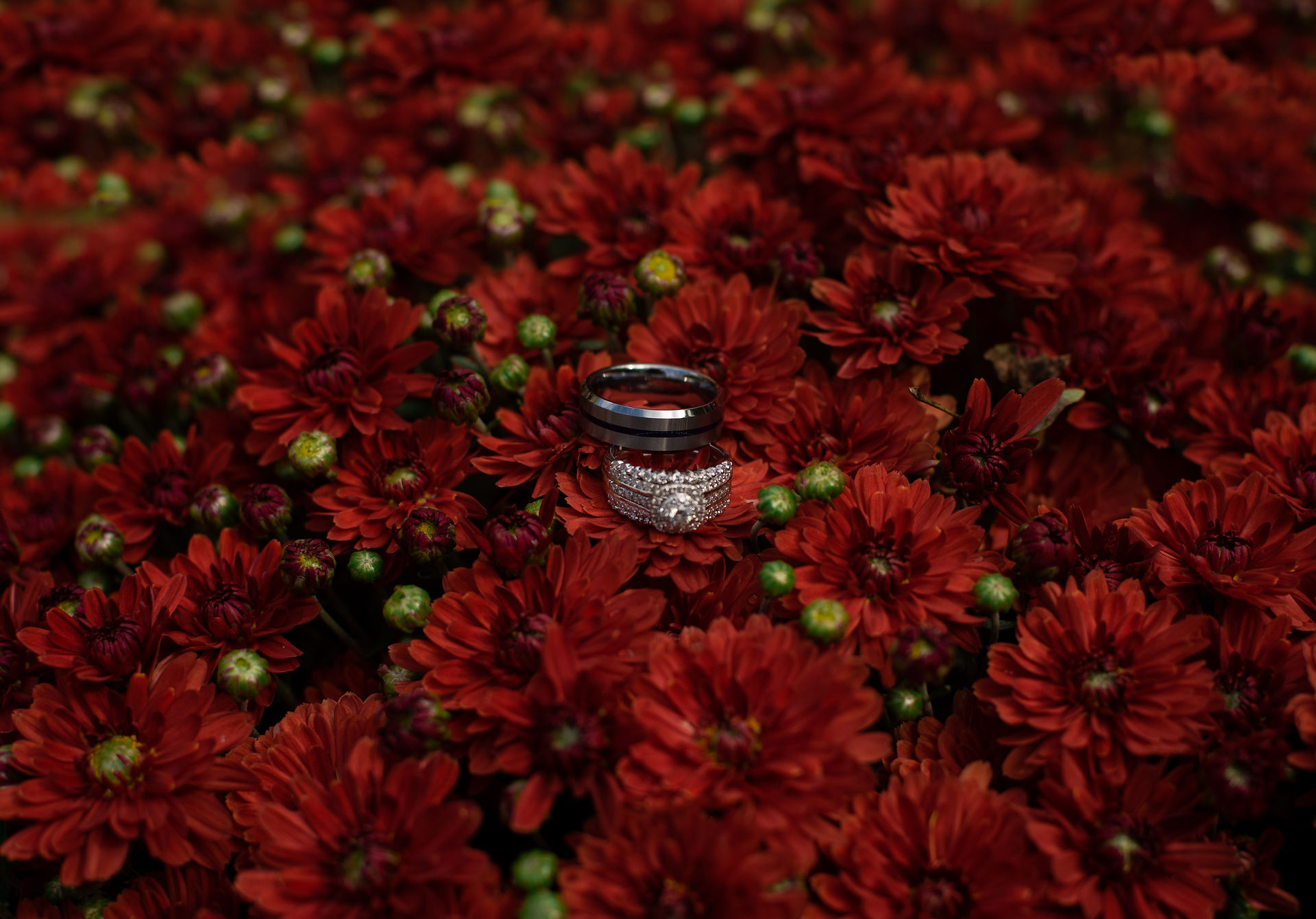 An intimate backyard wedding in Hillsboro, New Hampshire