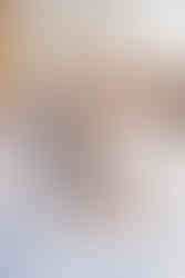 Elopement at the Lyman Estate