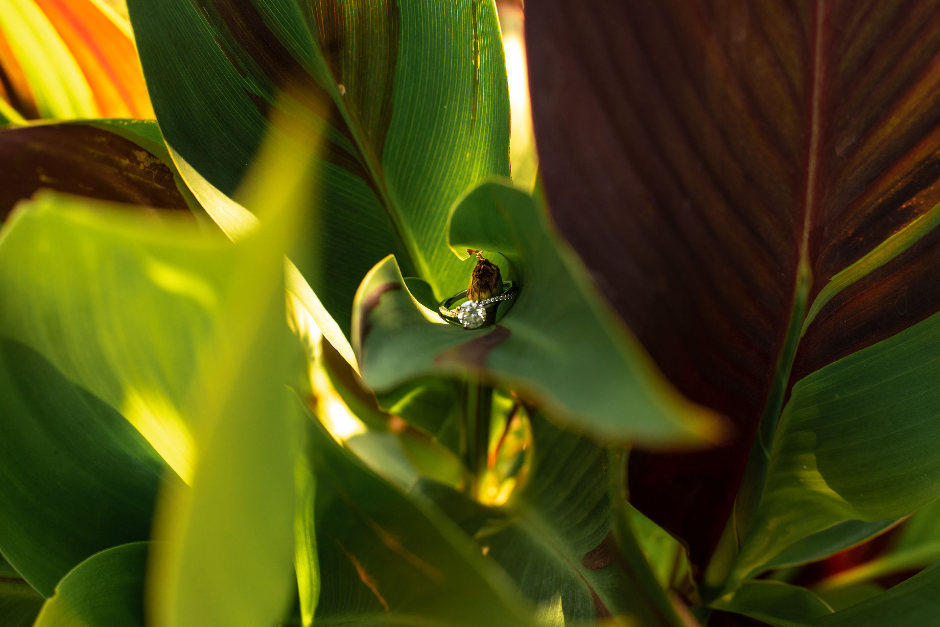 Spring Engagement Session