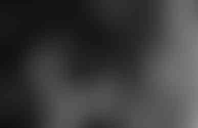 Elopement at the Lyman Estate