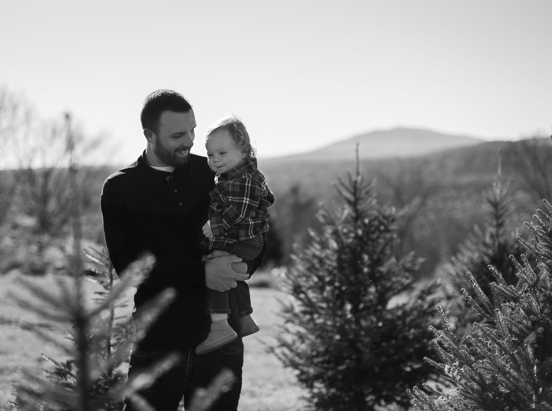 Christmas Tree Farm Photos