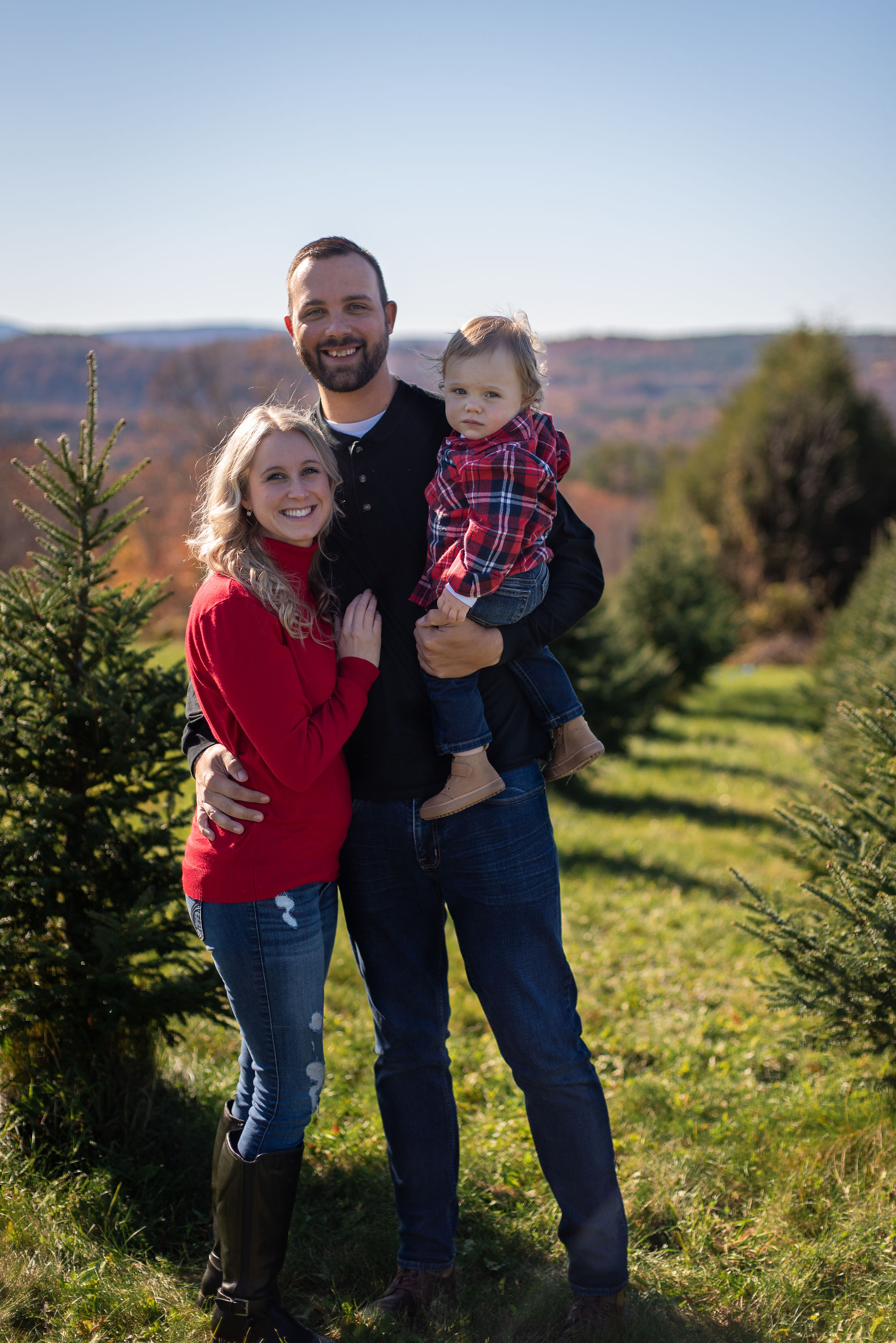 Christmas Tree Farm Photos