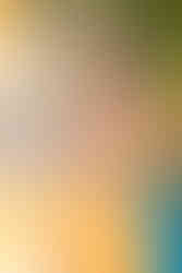 Summer Engagement Session