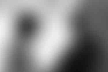 Elopement at the Lyman Estate