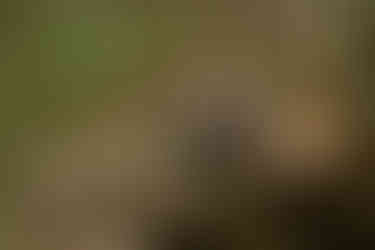 Spring Engagement Session