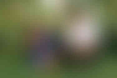 Spring Engagement Session