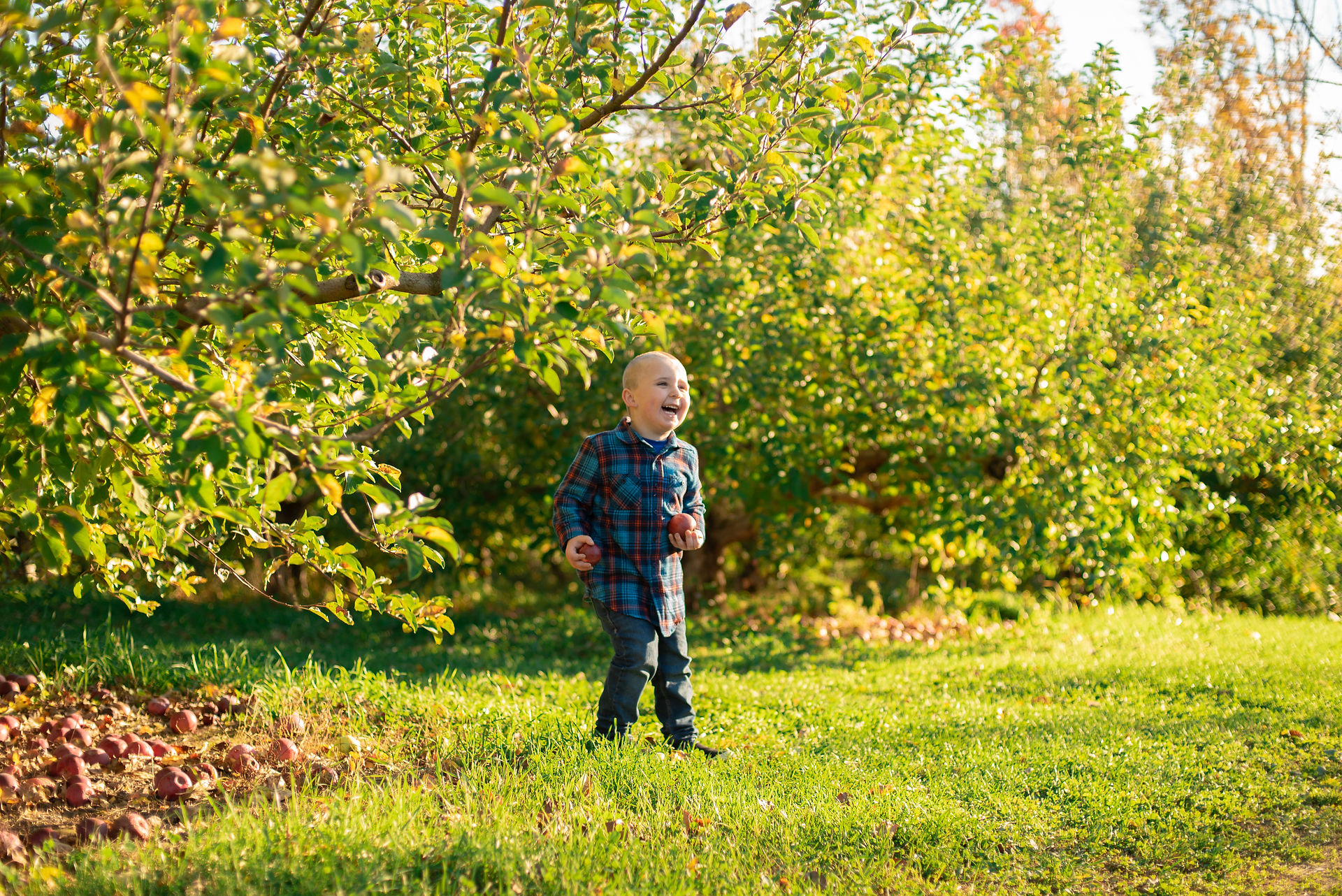 Apple Picking Engagement Session