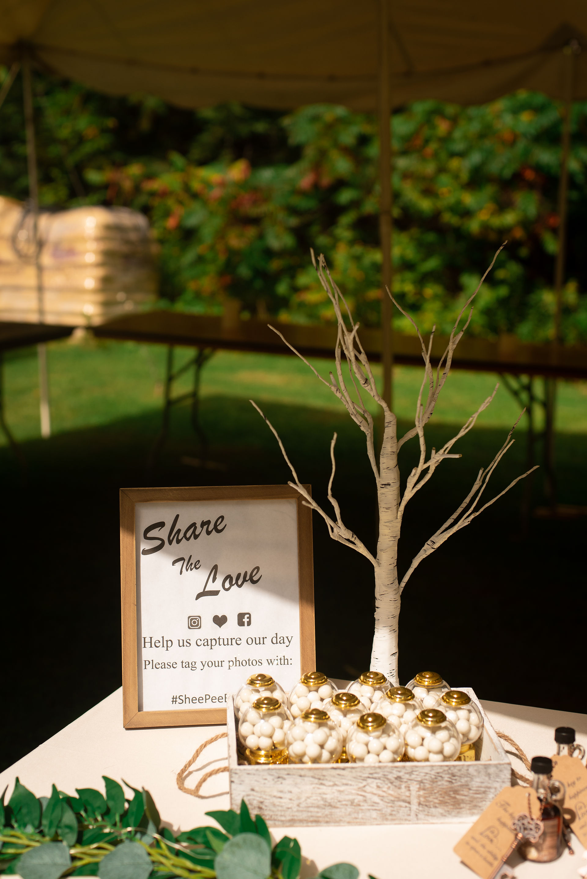 An intimate backyard wedding in Hillsboro, New Hampshire