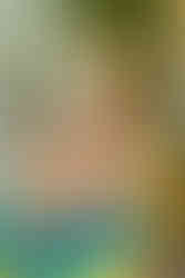 Summer Engagement Session