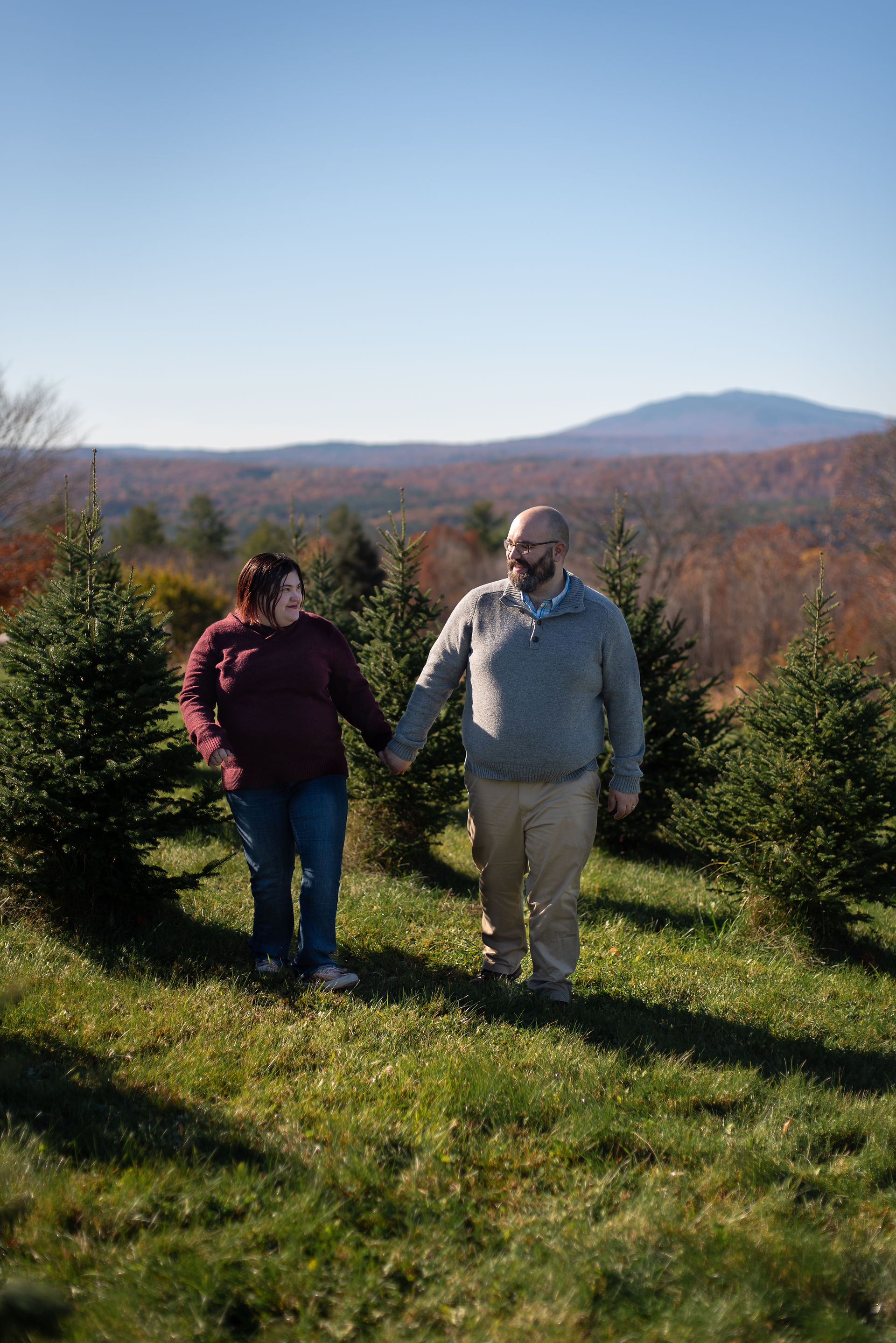 Christmas Tree Farm Photos