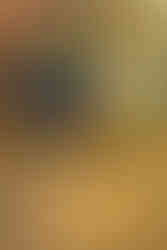 Spring Engagement Session