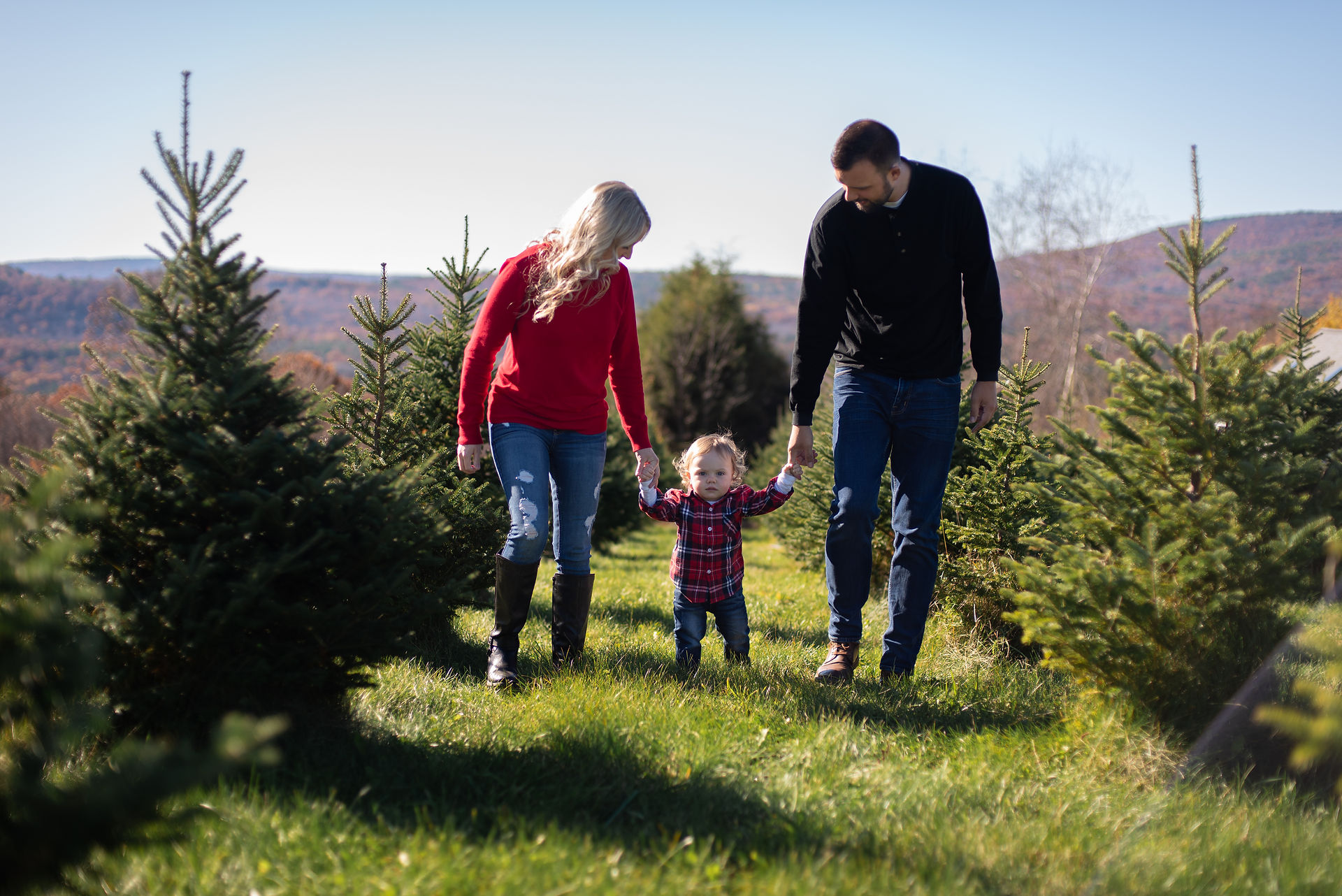 Christmas Tree Farm Photos