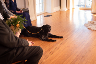 Elopement at the Lyman Estate