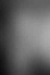 Elopement at the Lyman Estate