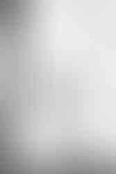 Elopement at the Lyman Estate