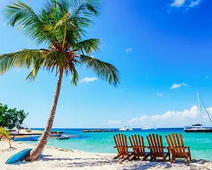 punta-cana-catamaran-boat-to-saona-island-with-buffet-lunch-1103930.webp