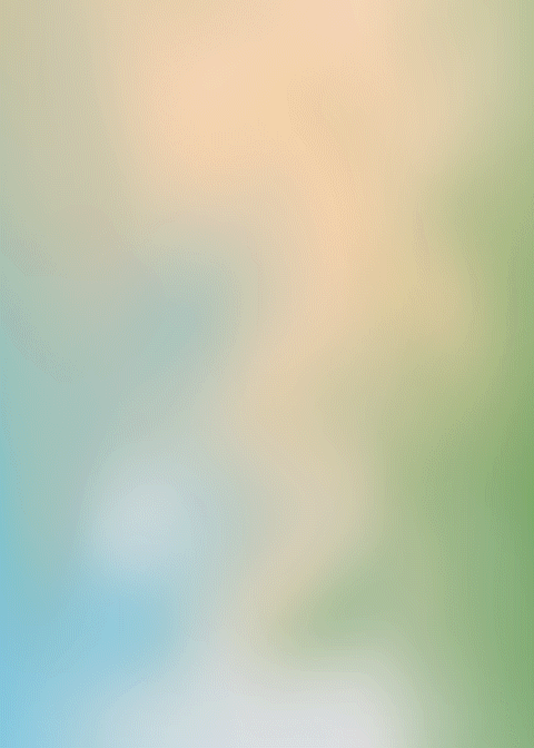 materializednew.gif