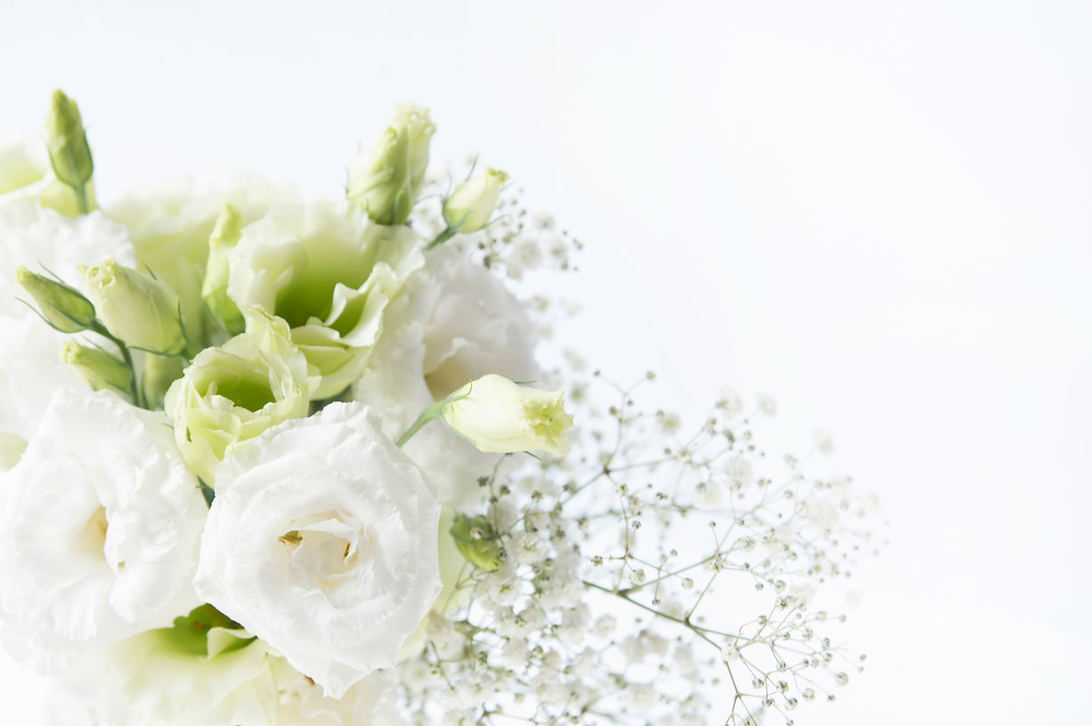 AdobeStock_224465960.jpeg