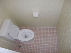 Toilet construction work