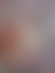 パレット柏ワークショップ 🎂2/3土ケーキをつくろう