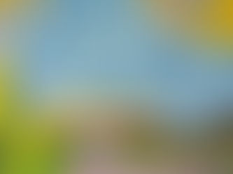 くりくりゴッホ完成しました。今年も無事終了❣