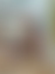 広報柏KURIKURIART Mattise 2024作品展 リフレッシュプラザ柏 広報掲載されました。