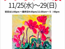 2026 シクラメン展 VOL.8 11/25(水)〜29(日)