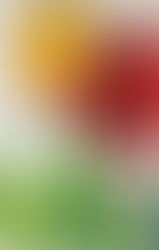 4月のくりくり チューリップとスイートピー