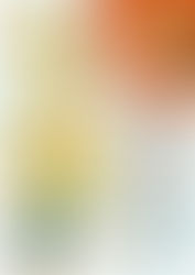 🌻夏休み大作戦🌻