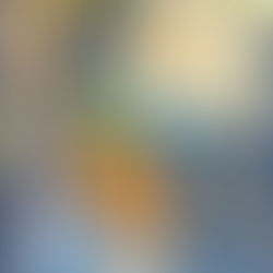 ゆらゆらきんぎょちょうちん　8/7金　パレット柏