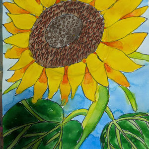 🌻ひまわり7月スタートしました🌻