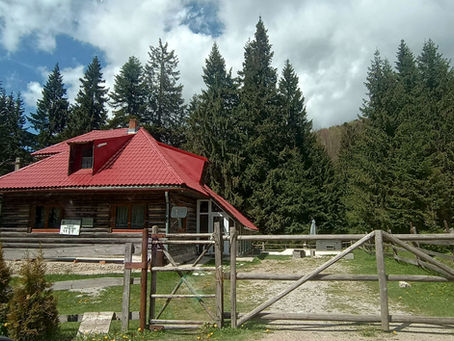 Casuta noastra, cuibusor de nebunii