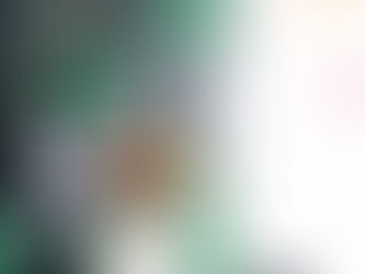 「中國茶療法」首次現身茶博會