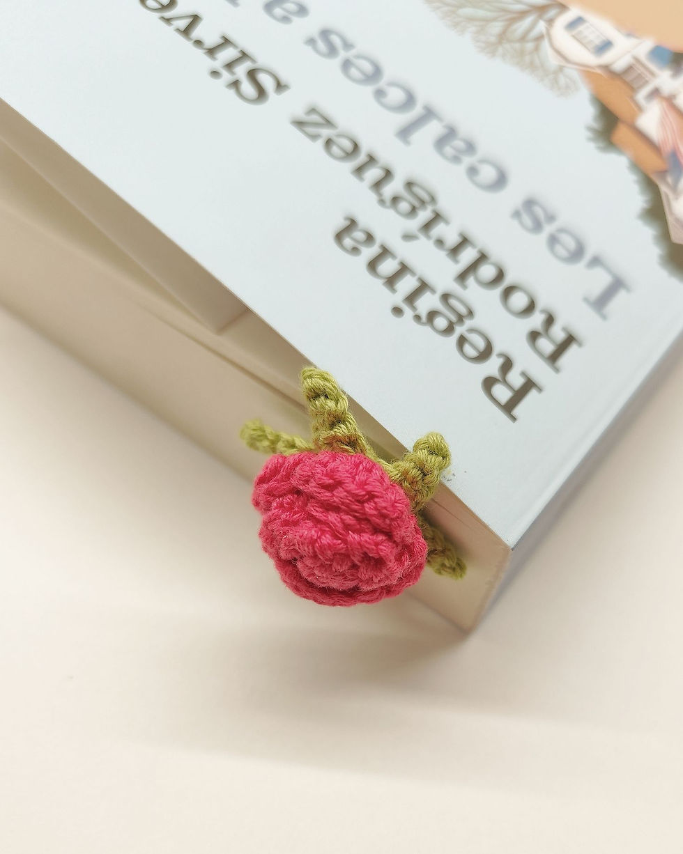 Miniatura: Llibre amb el text de Regina Rodríguez i punt de llibre rosa.