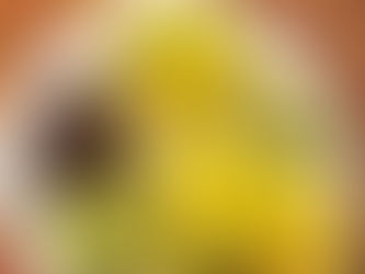 Taco 🌮 Tuesday 🙏🙏🙏🌮🌮🌶🌶🫑🫑🥑🥑