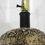Thumbnail: Pieri Tullio lamps mid century moder circa20c italy socket
