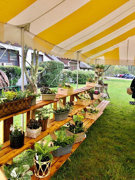 plant sale 4.jpg