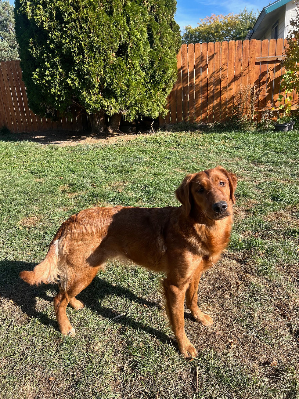 Maeve 11 months