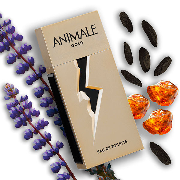 Miniatura: Frasco Perfume Animale Gold For Men edt com bergamota cumarina patchouli