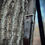 Thumbnail: Forester Crossbody - Dark Brown