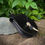 Thumbnail: Small Lyre Pouch - Black