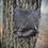 Thumbnail: Wanderer Crossbody - Dark Brown