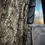 Thumbnail: Forester Crossbody - Gray & Black