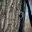 Thumbnail: Forester Crossbody - Gray & Black