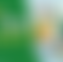 福岡の排水管洗浄、完全ガイド。