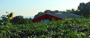 DSCN2231.JPG