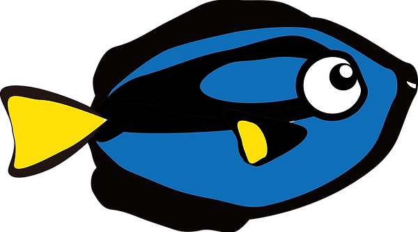 ナンヨウハギ.png