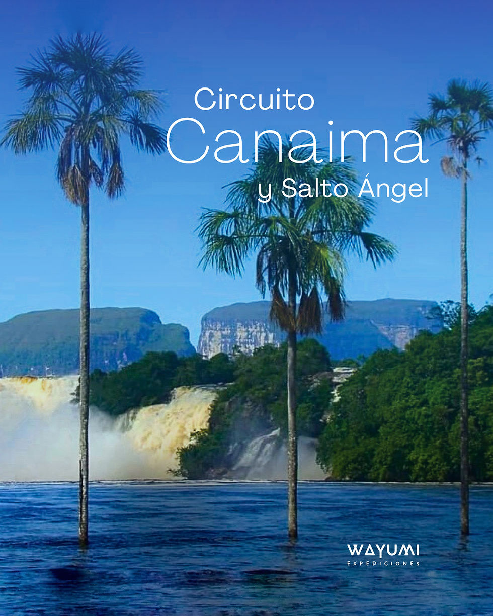 Para conocer la majestuosidad de Canaima y el Salto Ángel te ofrecemos la experiencia Waku Lodge. Plan 4D/3N y Plan 5D/4N